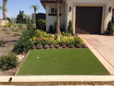 Artificial Grass Photos: Grass Installation Westport, Washington Backyard Playground, Landscaping Ideas For Front Yard