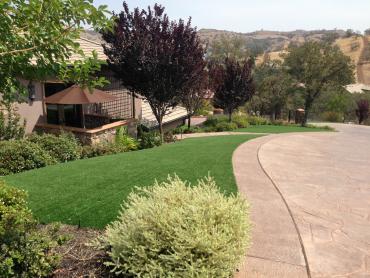 Artificial Grass Photos: Grass Installation Woods Creek, Washington Roof Top, Front Yard Ideas