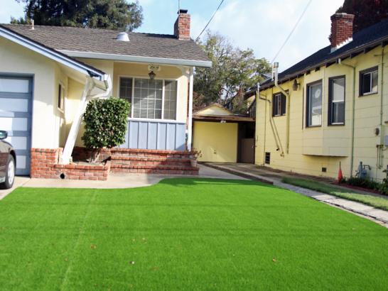 Artificial Grass Photos: Grass Turf Bellevue, Washington Landscaping, Small Front Yard Landscaping