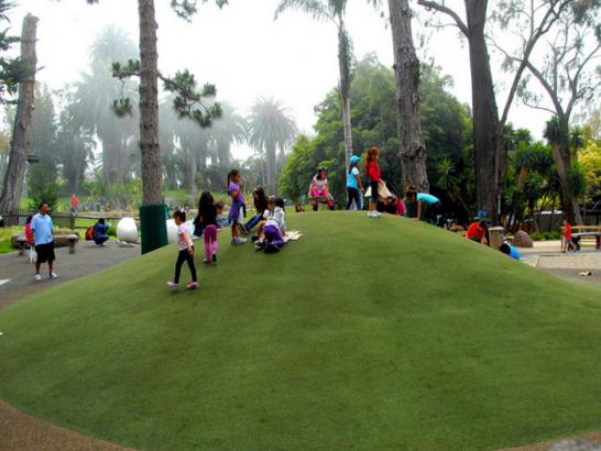 Artificial Grass Photos: Grass Turf Blyn, Washington Kids Indoor Playground, Parks