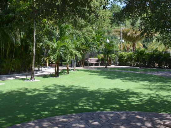 Artificial Grass Photos: Grass Turf Boulevard Park, Washington Lawns, Pavers