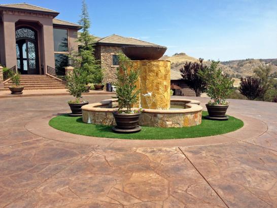 Artificial Grass Photos: Grass Turf Easton, Washington Landscape Photos, Front Yard Landscaping Ideas