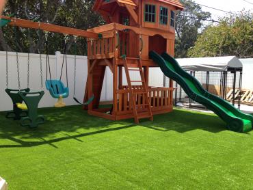 Artificial Grass Photos: Grass Turf Forks, Washington Landscape Ideas, Backyard Design