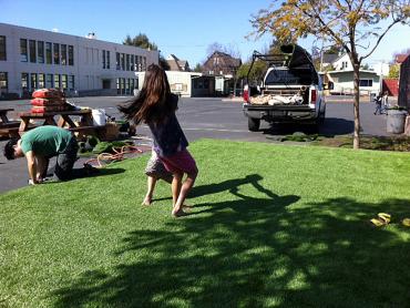 Artificial Grass Photos: Grass Turf Hansville, Washington City Landscape, Commercial Landscape