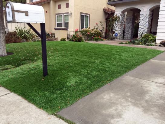 Artificial Grass Photos: Grass Turf Kirkland, Washington Rooftop, Small Front Yard Landscaping