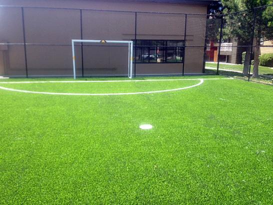 Artificial Grass Photos: Grass Turf Lebam, Washington Landscaping Business