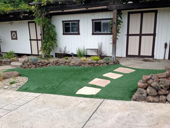 Artificial Grass Photos: Grass Turf Malone, Washington Landscaping Business, Front Yard Design