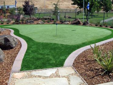 Artificial Grass Photos: Grass Turf Manson, Washington Lawn And Garden, Backyard Designs