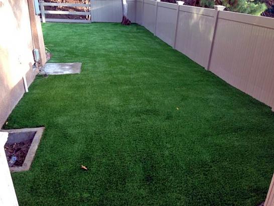 Artificial Grass Photos: Grass Turf Parkland, Washington Paver Patio, Backyard Landscaping