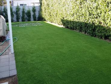 Artificial Grass Photos: Grass Turf Priest Point, Washington Pet Grass, Backyard