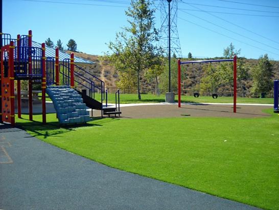 Artificial Grass Photos: Grass Turf Silvana, Washington Gardeners, Recreational Areas