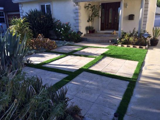 Artificial Grass Photos: Grass Turf South Prairie, Washington Landscape Ideas, Landscaping Ideas For Front Yard