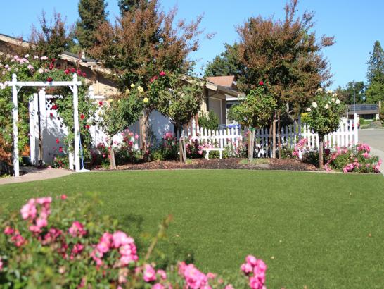 Artificial Grass Photos: Grass Turf Springdale, Washington Landscaping, Front Yard Landscaping Ideas