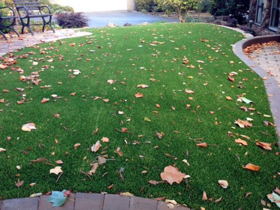 Artificial Grass Photos: Grass Turf Valley, Washington Paver Patio, Front Yard Landscape Ideas