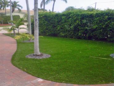 Artificial Grass Photos: Grass Turf Venersborg, Washington Lawns, Front Yard Design