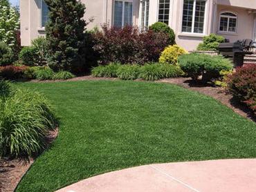 Artificial Grass Photos: Grass Turf Walnut Grove, Washington Lawns, Landscaping Ideas For Front Yard