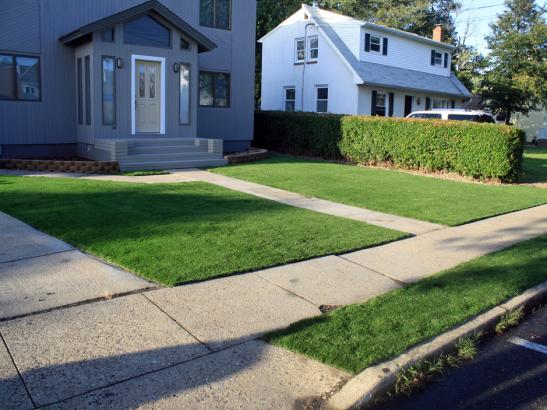 Artificial Grass Photos: Grass Turf Washtucna, Washington Roof Top, Front Yard Design