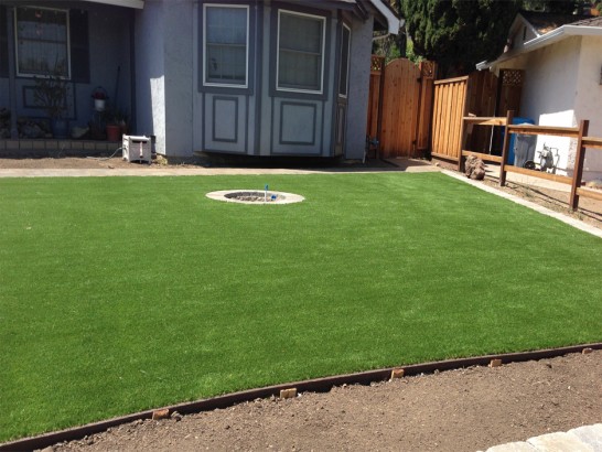 Artificial Grass Photos: Grass Turf Yelm, Washington Home And Garden, Backyards