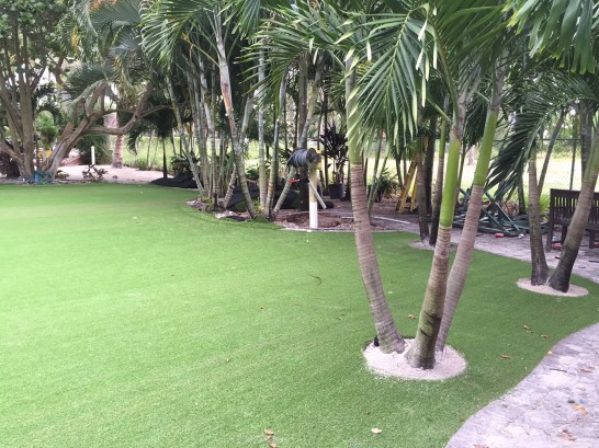 Artificial Grass Photos: Green Lawn Blaine, Washington Home And Garden, Commercial Landscape