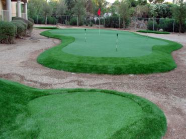 Artificial Grass Photos: Green Lawn Burien, Washington Putting Green, Backyard