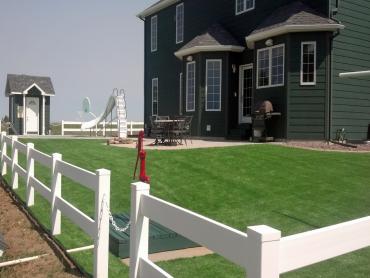 Artificial Grass Photos: Green Lawn Cottage Lake, Washington, Front Yard Landscape Ideas