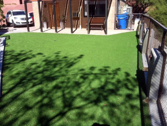 Artificial Grass Photos: Green Lawn DuPont, Washington Landscape Photos, Backyard Design