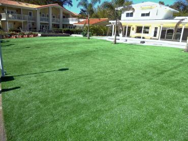 Artificial Grass Photos: Green Lawn Medina, Washington Paver Patio, Commercial Landscape