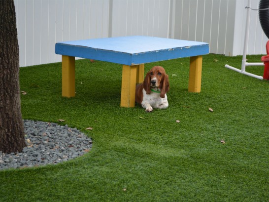 Artificial Grass Photos: Green Lawn Moses Lake North, Washington Drainage, Grass for Dogs