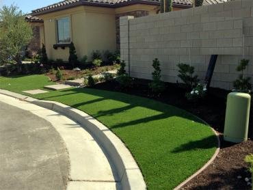 Artificial Grass Photos: Green Lawn Reardan, Washington Roof Top, Small Front Yard Landscaping