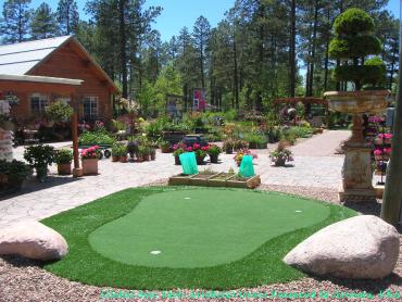 Artificial Grass Photos: Green Lawn Spokane, Washington Outdoor Putting Green, Backyard Designs