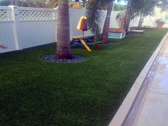 Artificial Grass Photos: Green Lawn Steptoe, Washington Garden Ideas, Backyard Landscaping