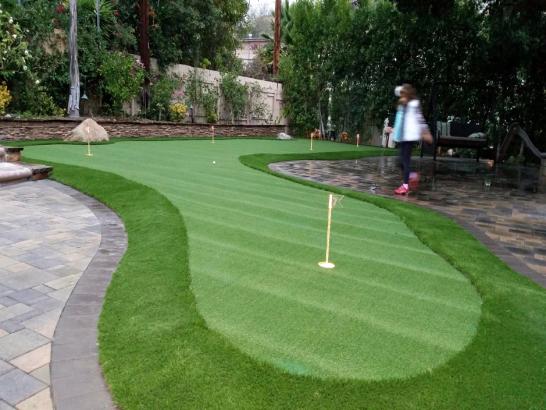 Artificial Grass Photos: Green Lawn Vantage, Washington City Landscape, Backyard Design