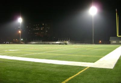 Artificial Grass Photos: How To Install Artificial Grass Lakeland South, Washington Bocce Ball Court