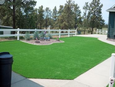 Artificial Grass Photos: How To Install Artificial Grass Silverdale, Washington Roof Top, Landscaping Ideas For Front Yard