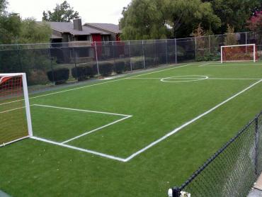 Artificial Grass Photos: How To Install Artificial Grass Terrace Heights, Washington Backyard Sports, Commercial Landscape