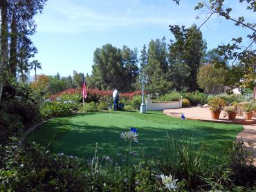 Artificial Grass Photos: How To Install Artificial Grass Tulalip Bay, Washington Lawns, Backyard Landscaping Ideas