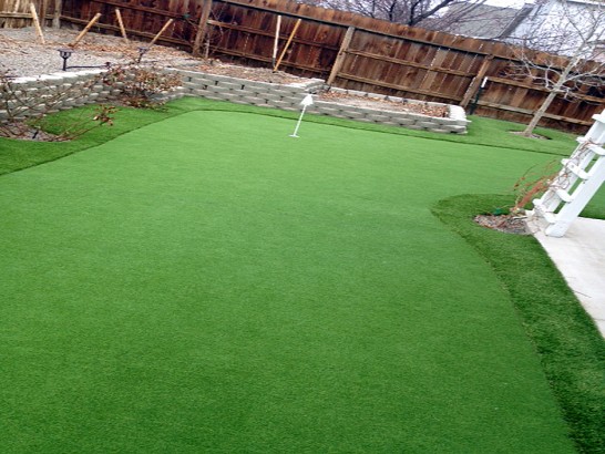 Artificial Grass Photos: How To Install Artificial Grass Walnut Grove, Washington Garden Ideas, Backyard Landscaping