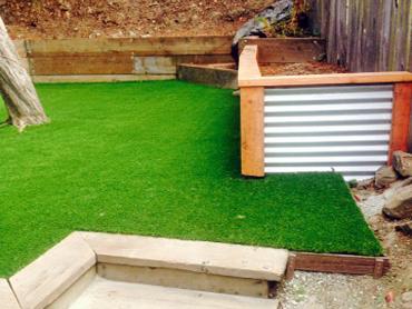 Artificial Grass Photos: How To Install Artificial Grass Winlock, Washington Lawn And Landscape, Backyard Landscape Ideas