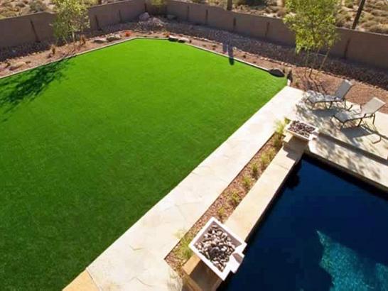 Artificial Grass Photos: Installing Artificial Grass Banks Lake South, Washington Garden Ideas, Small Backyard Ideas