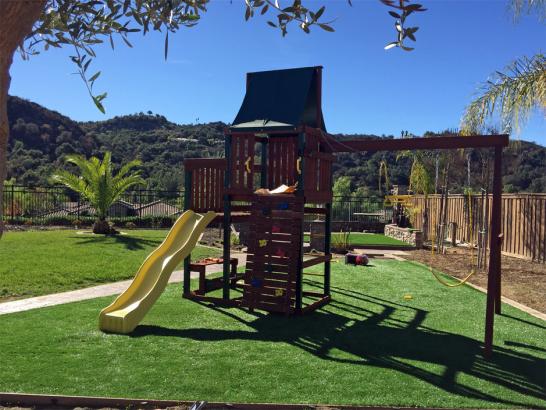 Artificial Grass Photos: Installing Artificial Grass Five Corners, Washington Landscaping Business