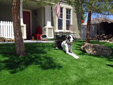 Artificial Grass Photos: Installing Artificial Grass La Center, Washington Backyard Playground, Dogs