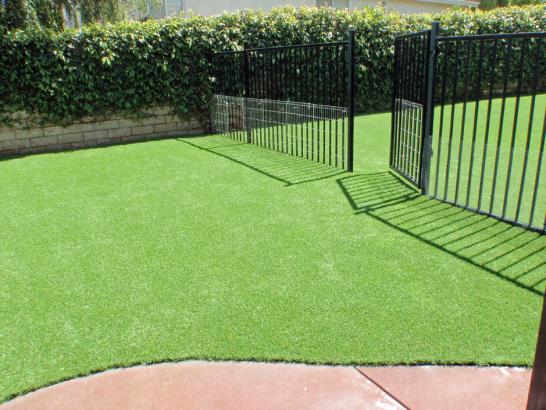 Artificial Grass Photos: Installing Artificial Grass Port Orchard, Washington Landscape Rock, Front Yard Landscaping Ideas