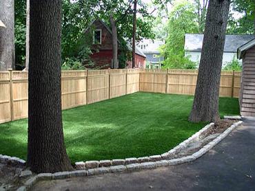 Artificial Grass Photos: Installing Artificial Grass Soap Lake, Washington Hotel For Dogs, Small Backyard Ideas