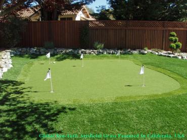 Artificial Grass Photos: Installing Artificial Grass Spokane Valley, Washington Putting Green Carpet, Backyard Designs