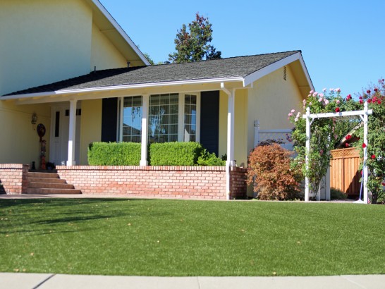 Artificial Grass Photos: Installing Artificial Grass Waller, Washington Landscape Design, Front Yard