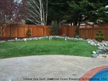 Artificial Grass Photos: Lawn Services Auburn, Washington Best Indoor Putting Green, Backyard Landscape Ideas