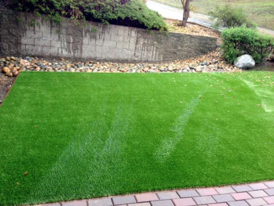 Artificial Grass Photos: Lawn Services Conway, Washington Landscape Ideas, Front Yard Landscaping