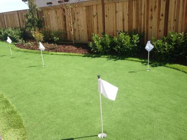 Artificial Grass Photos: Lawn Services Langley, Washington Home And Garden, Small Backyard Ideas