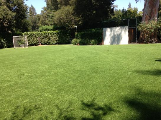 Artificial Grass Photos: Lawn Services Lyman, Washington Soccer Fields, Backyard Landscaping