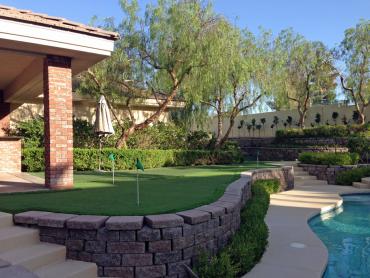 Artificial Grass Photos: Lawn Services Maple Heights-Lake Desire, Washington Lawn And Garden, Backyards